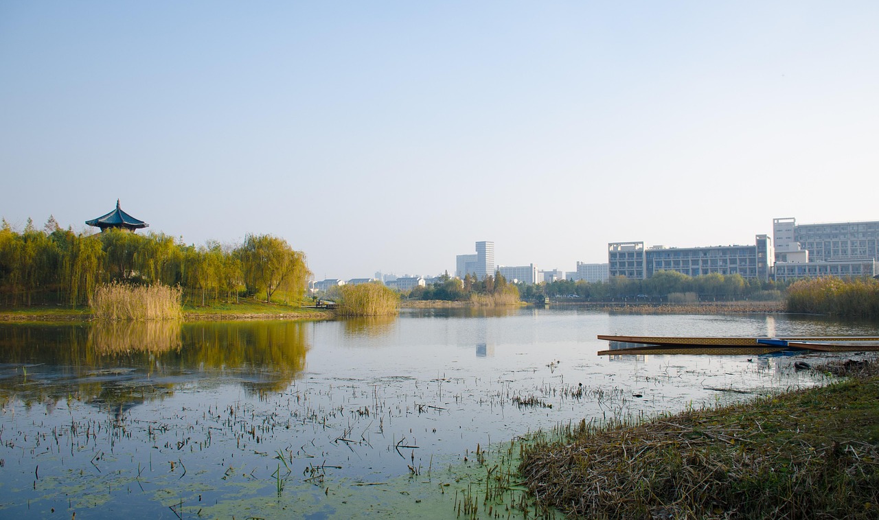 江南大学加学位.江南大学学位证