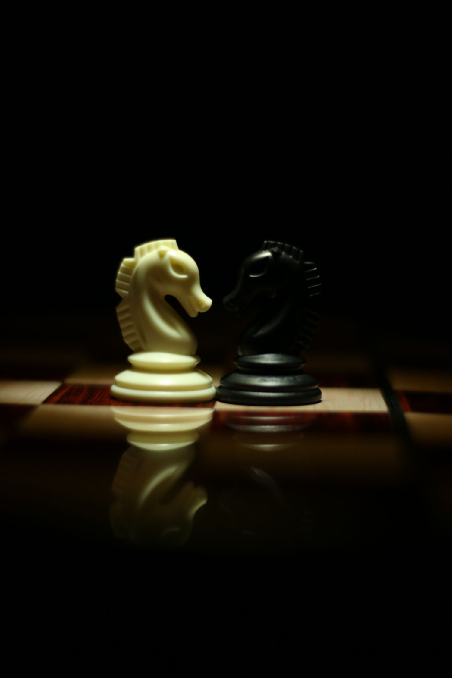 安装程序教程“斗棋有没有挂”(曝光透视必备猫腻)