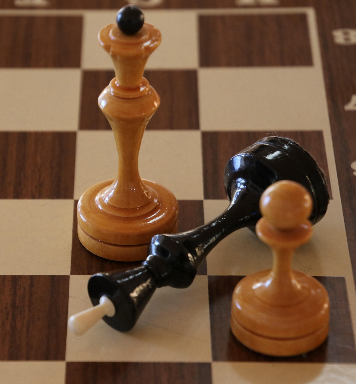 安装程序教程“斗棋有没有挂”(曝光透视必备猫腻)